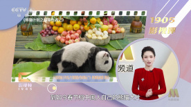 色综合久久88色综合天天